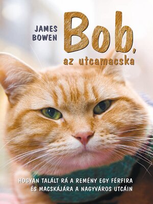 cover image of Bob, az utcamacska